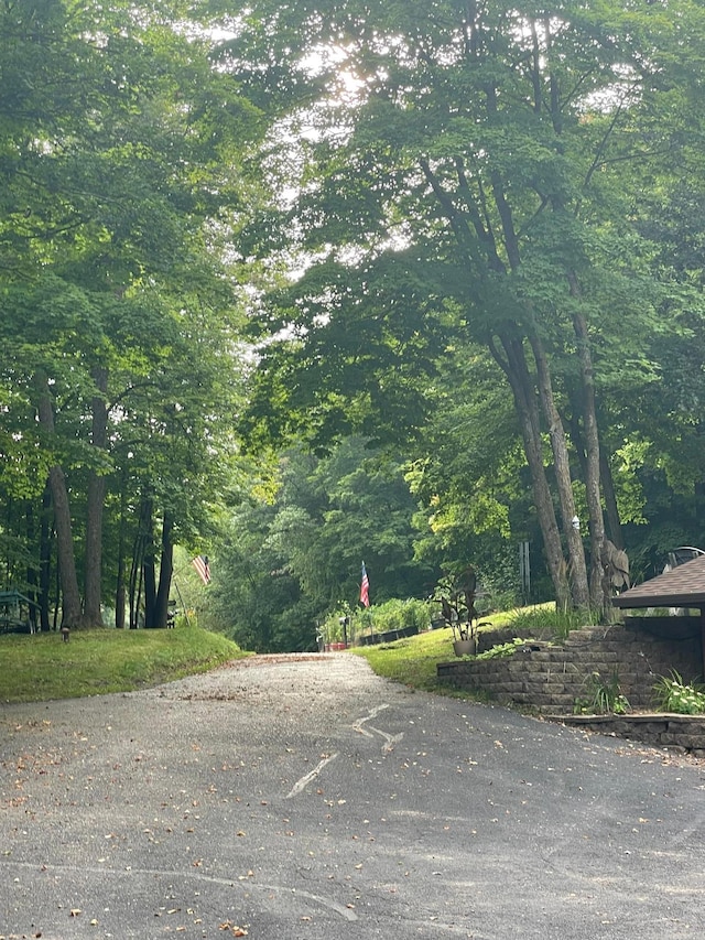 view of street featuring a wooded view