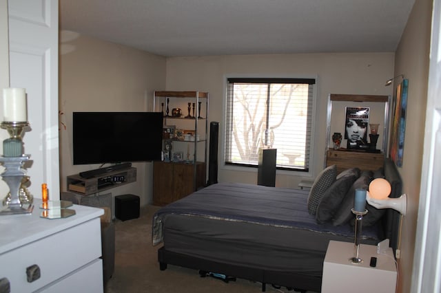 bedroom with carpet