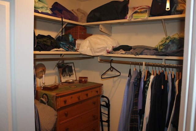 view of closet