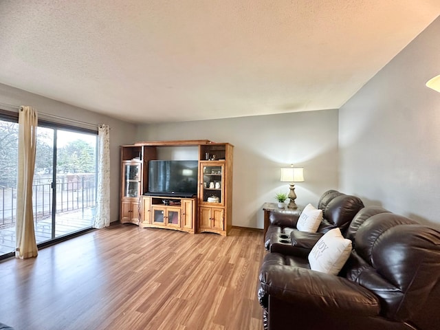 4120 Parklawn Ave Unit 134, Edina, MN 55435 - living room with light wood-style flooring and a textured ceiling