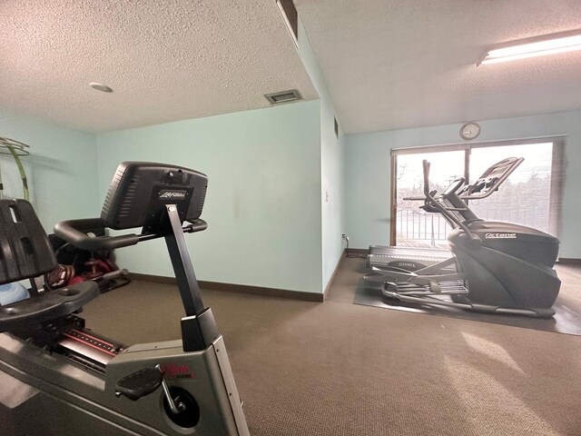 4120 Parklawn Ave Unit 134, Edina, MN 55435 - workout room featuring visible vents, baseboards, carpet, and a textured ceiling