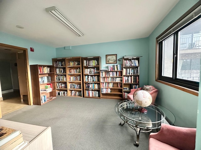 4120 Parklawn Ave Unit 134, Edina, MN 55435 - sitting room with bookshelves and carpet floors