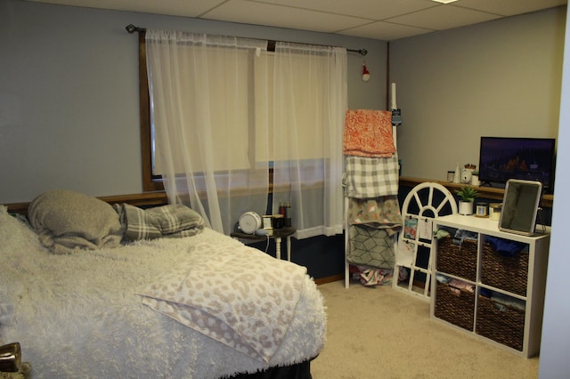 100 Park Rd, Staples, MN 56479 - carpeted bedroom with a drop ceiling