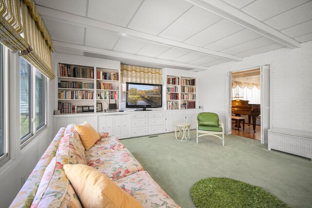240 S St S, Owatonna, MN 55060 - carpeted living area with beamed ceiling and built in shelves