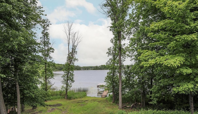 view of water feature with a dock