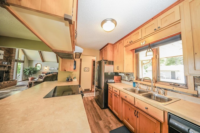 kitchen with dark wood-type flooring, light countertops, and black dishwasher