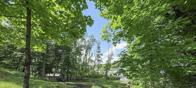 view of nature
