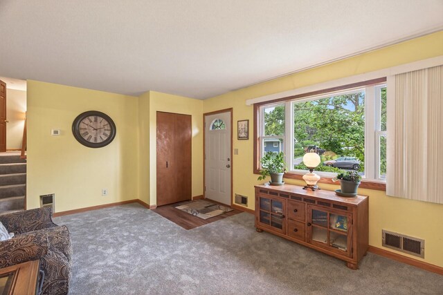 1224 Gary Dr, Saint Paul Park, MN 55071 - photo 5