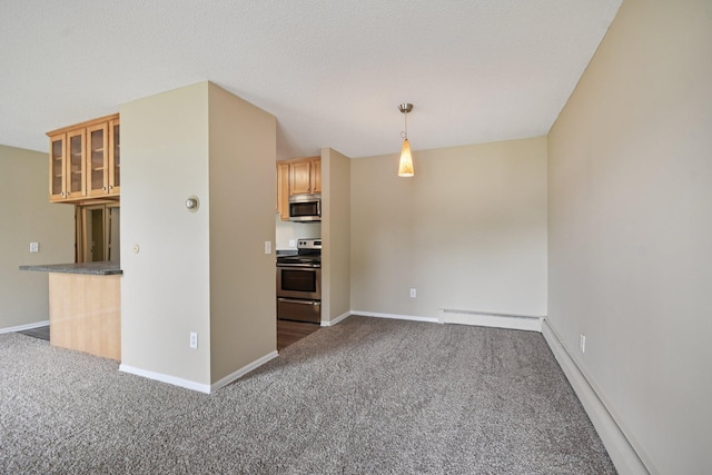 4110 Rahn Rd Unit 124, Eagan, MN 55122 - spare room with carpet flooring and a baseboard radiator