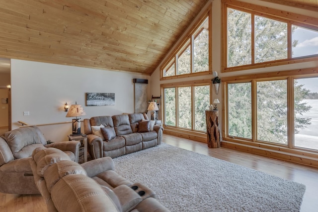 31690 Large Pine Trl, Laporte, MN 56461 - living room featuring wood ceiling, high vaulted ceiling, and wood finished floors