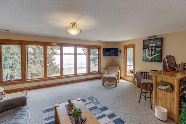 31690 Large Pine Trl, Laporte, MN 56461 - living area with carpet floors and a textured ceiling