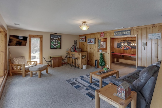 31690 Large Pine Trl, Laporte, MN 56461 - carpeted living room featuring wooden walls