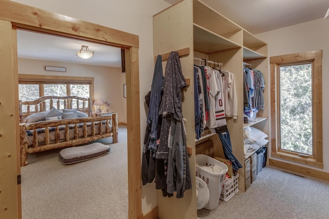 31690 Large Pine Trl, Laporte, MN 56461 - walk in closet with carpet