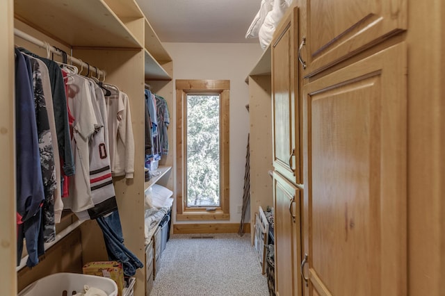 31690 Large Pine Trl, Laporte, MN 56461 - walk in closet with light colored carpet