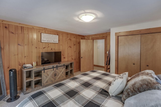 31690 Large Pine Trl, Laporte, MN 56461 - bedroom with wooden walls and a closet