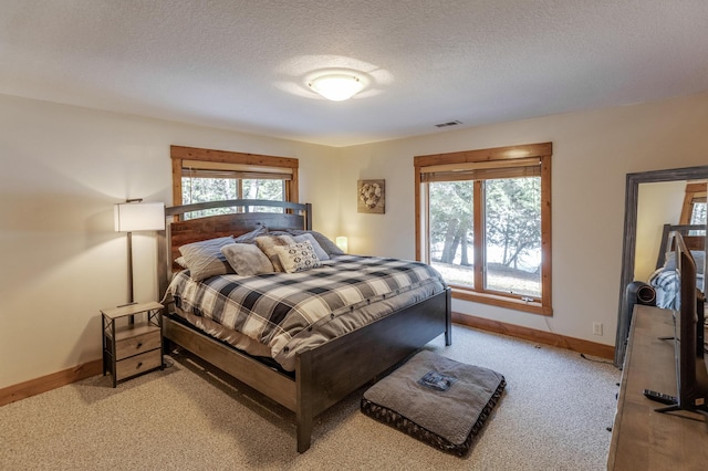 31690 Large Pine Trl, Laporte, MN 56461 - bedroom featuring light carpet, baseboards, multiple windows, and a textured ceiling