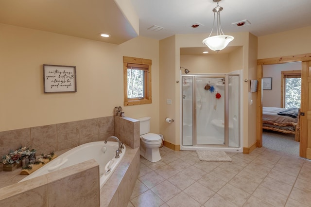 31690 Large Pine Trl, Laporte, MN 56461 - ensuite bathroom with a garden tub, a stall shower, toilet, healthy amount of natural light, and recessed lighting
