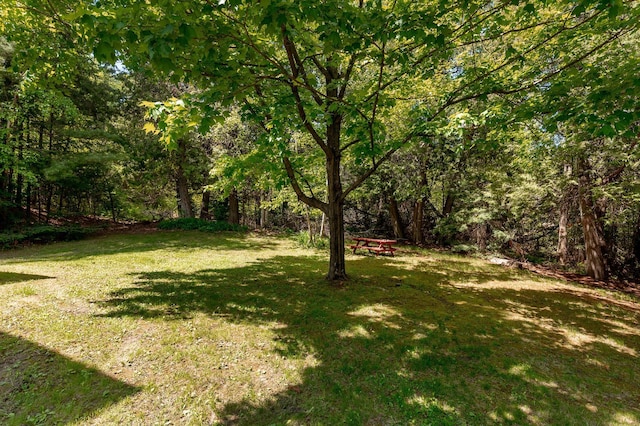 31690 Large Pine Trl, Laporte, MN 56461 - view of green lawn with a forest view