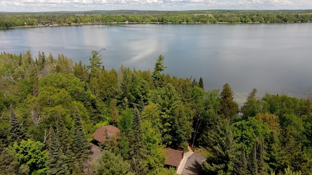 31690 Large Pine Trl, Laporte, MN 56461 - water view with a forest