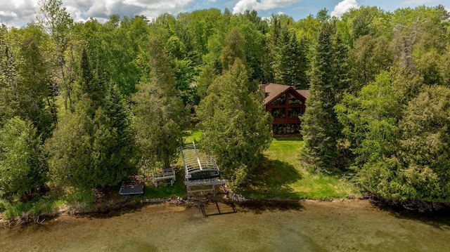 31690 Large Pine Trl, Laporte, MN 56461 - view from above of property with a heavily wooded area