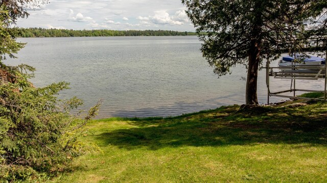 31690 Large Pine Trl, Laporte, MN 56461 - water view with a boat dock