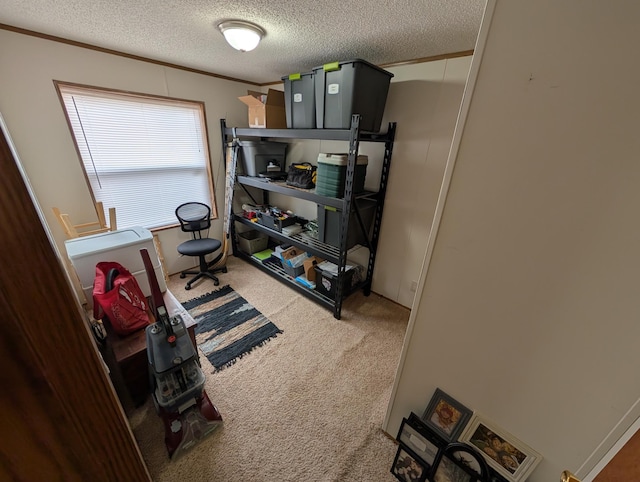 office with a textured ceiling, crown molding, and carpet floors
