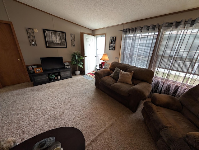 carpeted living area with a textured ceiling, ornamental molding, and lofted ceiling