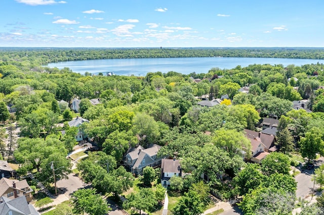 4001 Sheridan Ave S, Minneapolis, MN 55410 - bird's eye view of a heavily wooded area and a large body of water