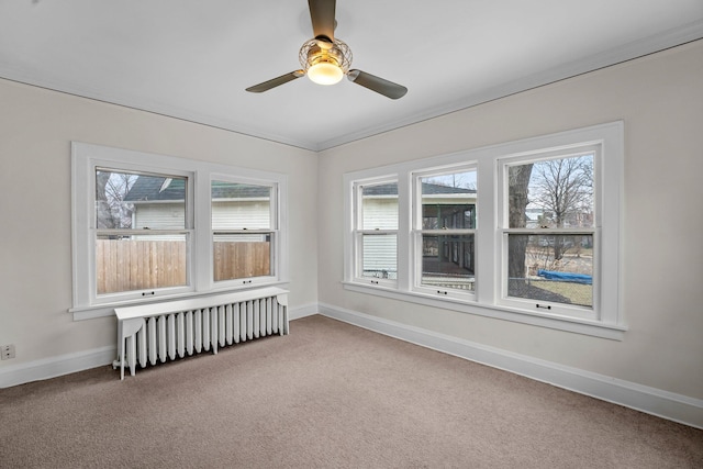 4001 Sheridan Ave S, Minneapolis, MN 55410 - carpeted spare room featuring radiator heating unit, baseboards, and healthy amount of natural light