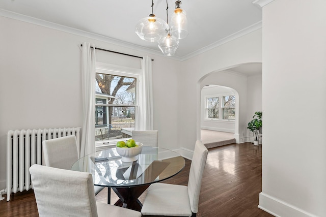 4001 Sheridan Ave S, Minneapolis, MN 55410 - dining space featuring radiator, arched walkways, healthy amount of natural light, crown molding, and dark wood finished floors