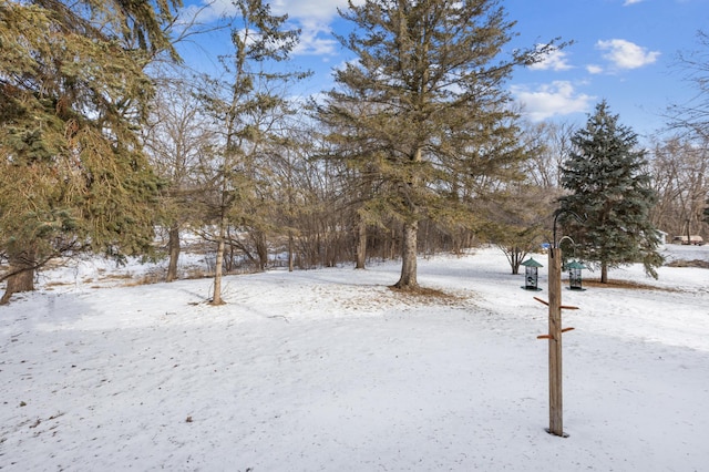 view of yard covered in snow