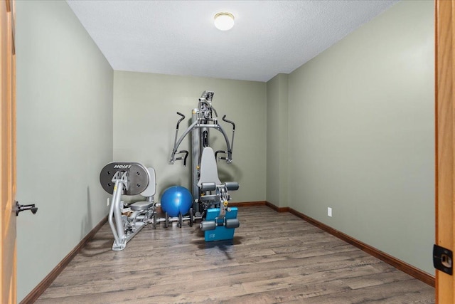 15210 Painters Lane Cir N, West Lakeland Twp, MN 55082 - exercise room featuring wood finished floors, baseboards, and a textured ceiling