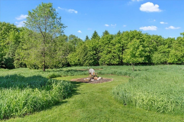 15210 Painters Lane Cir N, West Lakeland Twp, MN 55082 - view of yard with a forest view