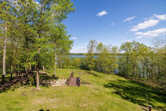 20624 269th Ave, Nevis, MN 56467 - photo 12