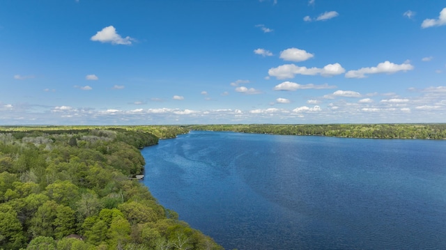 20624 269th Ave, Nevis, MN 56467 - photo 53