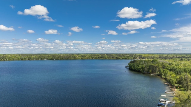 20624 269th Ave, Nevis, MN 56467 - photo 54