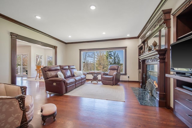 12446 190th St, Page Twp, MN 56353 - living room featuring a high end fireplace, crown molding, wood finished floors, and recessed lighting