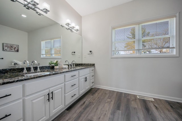12446 190th St, Page Twp, MN 56353 - full bathroom with healthy amount of natural light, double vanity, and wood finished floors