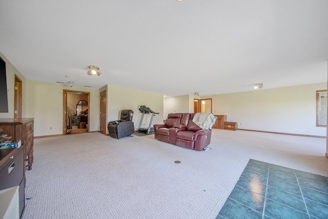 12446 190th St, Page Twp, MN 56353 - living room with carpet flooring