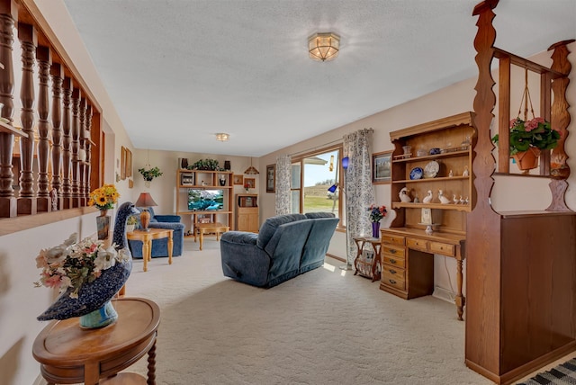 carpeted living room with a textured ceiling