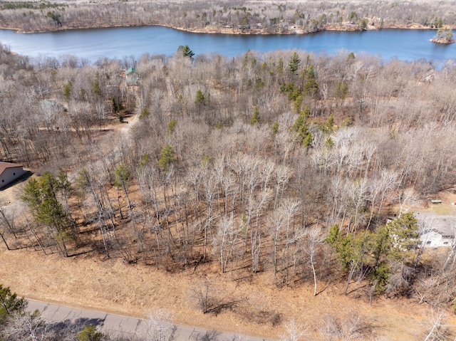 TBD Mayo Lake Rd, Pequot Lakes, MN 56472