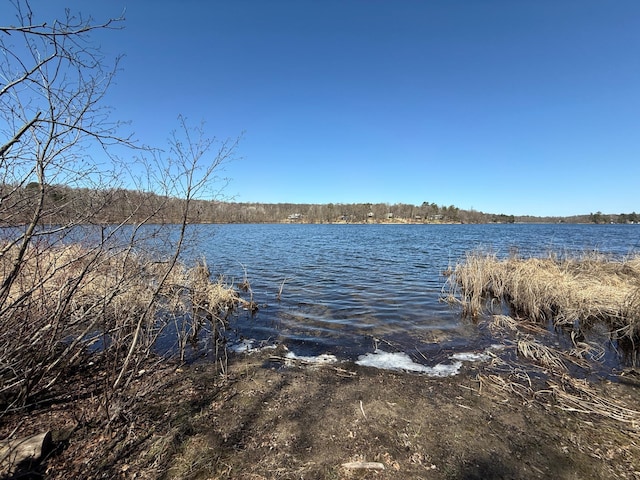 TBD Mayo Lake Rd, Pequot Lakes, MN 56472