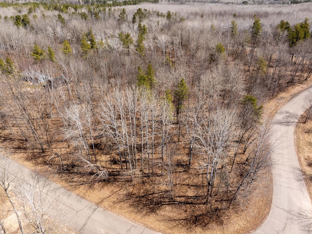 TBD Mayo Lake Rd, Pequot Lakes, MN 56472