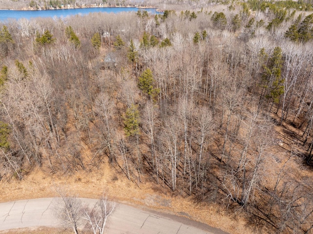 TBD Mayo Lake Rd, Pequot Lakes, MN 56472