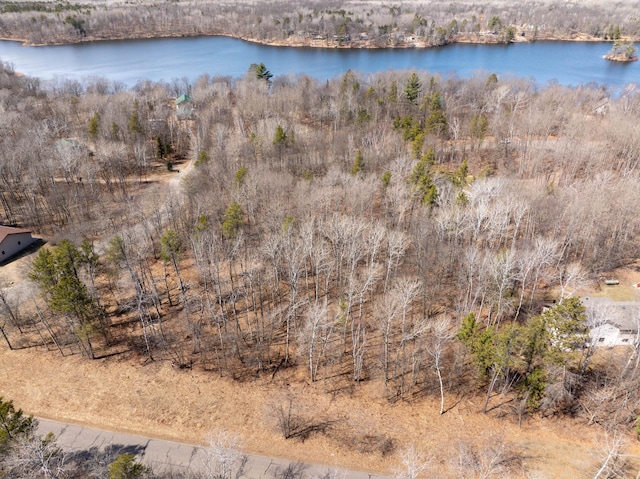 TBD Mayo Lake Rd, Pequot Lakes, MN 56472