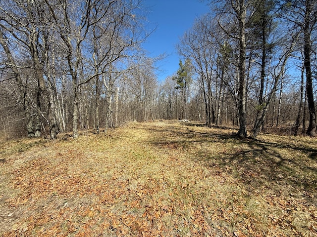 TBD Mayo Lake Rd, Pequot Lakes, MN 56472