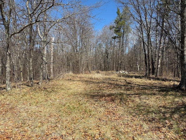 TBD Mayo Lake Rd, Pequot Lakes, MN 56472