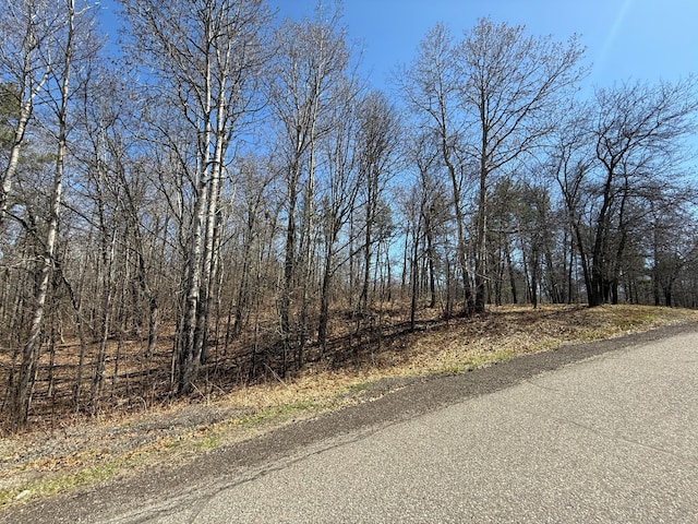 TBD Mayo Lake Rd, Pequot Lakes, MN 56472