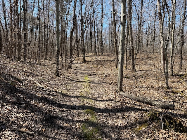 TBD Mayo Lake Rd, Pequot Lakes, MN 56472