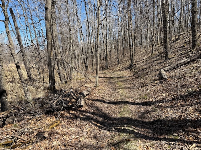 TBD Mayo Lake Rd, Pequot Lakes, MN 56472